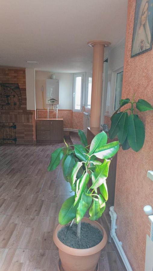 Arman Guest House ديليجان المظهر الخارجي الصورة